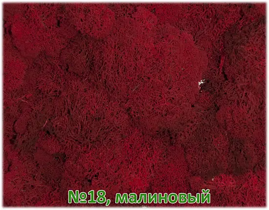 Мох стабилизированный №18 малиновый, 30*40 см, пак