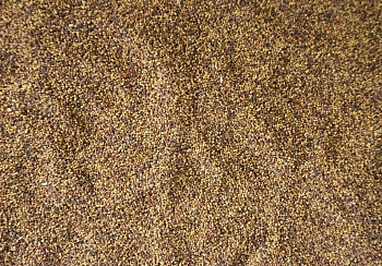 Сидерат Клевер белый-ползучий, 0,5 кг