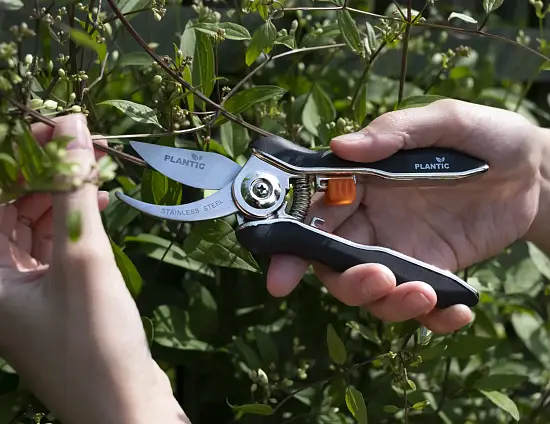 Plantic Ножницы для маленьких растений изогнутые 35307-01, шт