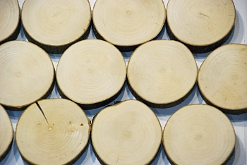 Спилы поквадратно клен шлифовка БЕЗ коры, (Ø 2-15см, h 1,5-2см), м.кв.