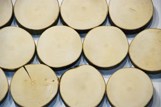 Спилы поквадратно клен шлифовка БЕЗ коры, (Ø 2-15см, h 1,5-2см), м.кв.