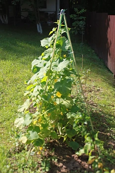 Шпалера для огурцов (двускатная), композитная, 200 * h 180 см, уп