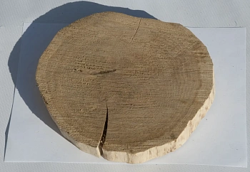 Спил дуб шлифовка СДШ2, (Ø 20-25см, h 3см), шт