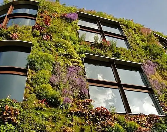 Мох натуральный, зеленый, лоток 30*40 см (без лотка), шт