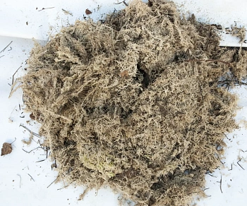 Мох болотный сфагнум, 60 л, меш