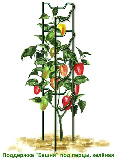 Поддержка "Башня" под перцы, зеленая, h 60 см, шт