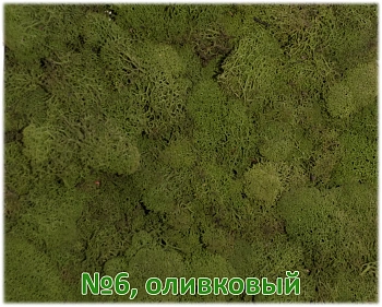 Мох стабилизированный №6 оливковый, 30*40 см, пак