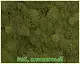 Мох стабилизированный №6 оливковый, 30*40 см, пак