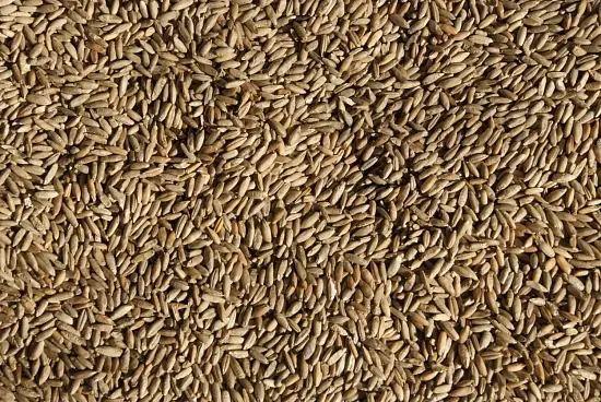 Сидерат Рожь, 1,0 кг