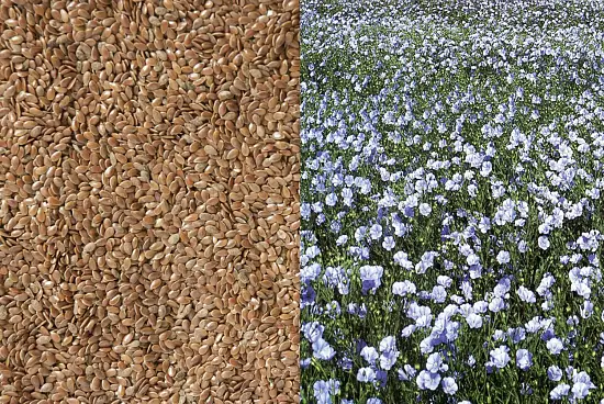 Сидерат Лен, 0,3 кг