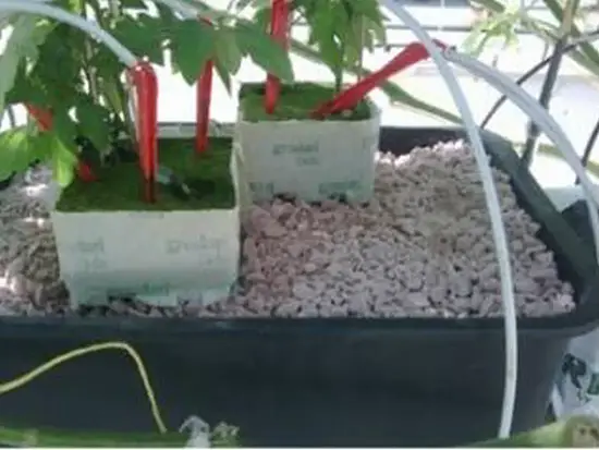 Пеностекло Субстрат Growplant, фр.  0,8-5 мм, зеленый, 50 л 