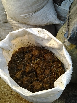 Навоз Конский Люкс, 60 л