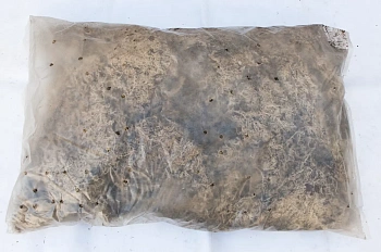 Мох болотный сфагнум, 60 л, меш