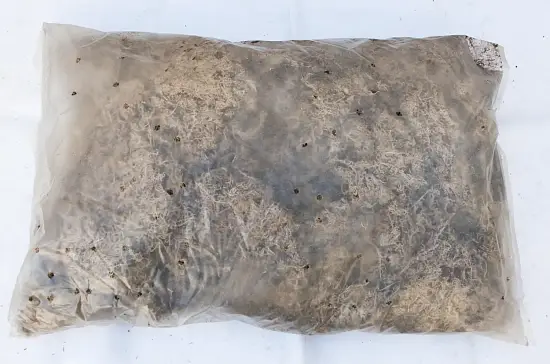 Мох болотный сфагнум, 60 л, меш