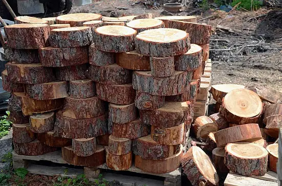 Спилы поквадратно дуб для мощения, (Ø 10-35см, h 8см), м.кв.