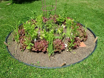 Бордюр КАНТРИ Плюс, черный, 0,125 x 10 м, рул