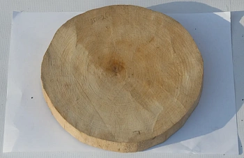 Спил ольха шлифовка СОлШ2 (Ø 20-25см, h 2см), шт