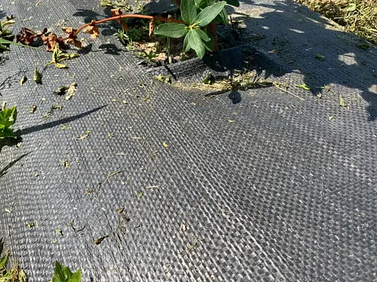 Агротекс Геоткань 150, Черный, 4,2*100 м, рул.