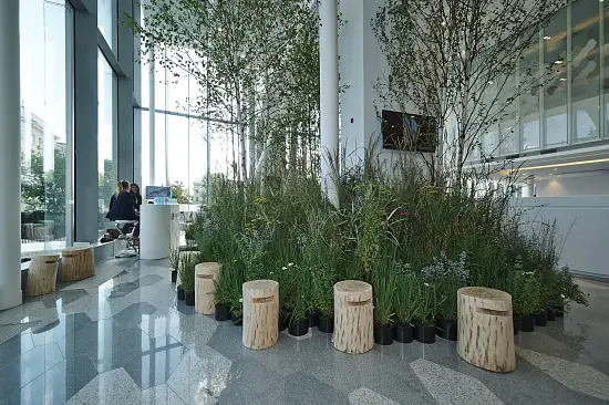 Табурет-чурбак дубовый, Ø 20-25, h 36-40 см