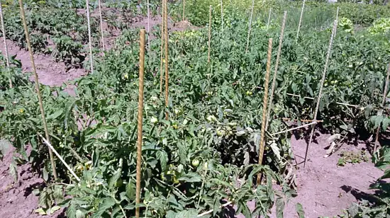 Композитная арматура Ø  4мм, 50 м/бухта