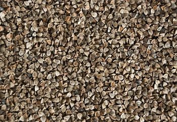 Сидерат Гречиха, 0,5 кг