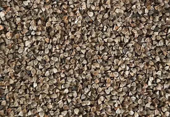 Сидерат Гречиха, 0,5 кг