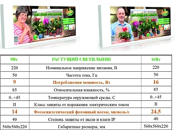 Фитолампа(запасная) «Здоровья Клад 9 Вт» 