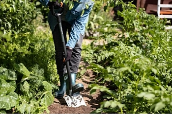 Plantic Лопата штыковая Terra Pro, арт 11002-01, шт