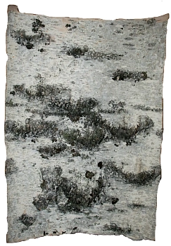 Береста в листах ( ~ 20 x 20 см), шт