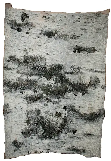 Береста в листах ( ~ 20 x 20 см), шт