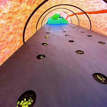 Агротекс перфорированный Черный 60, 1,6*200 м, рул