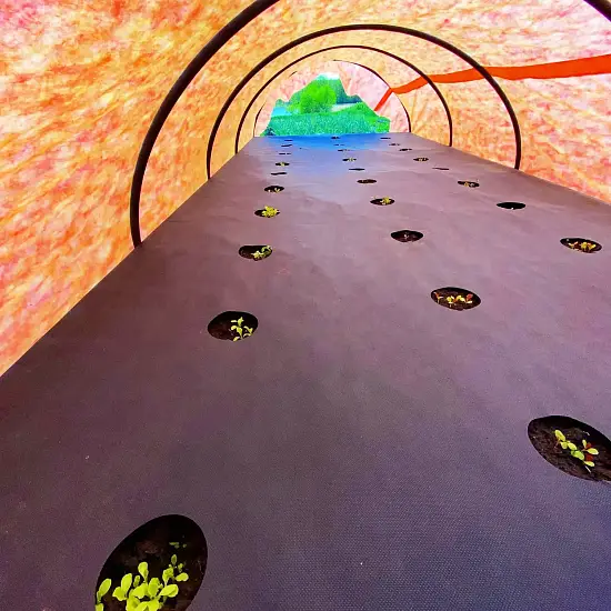 Агротекс перфорированный Черный 60, 1,6*10 м, уп