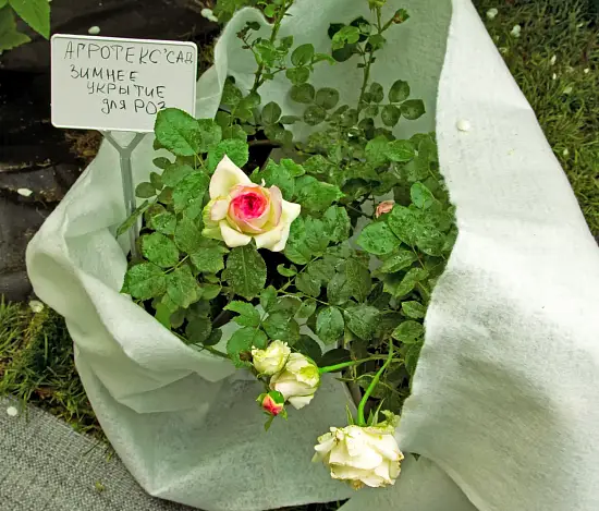 Агротекс Зимнее укрытие для кустарников в рулоне 200, Белый, 2,0*50 м, рул