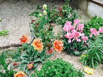 Костра конопляная, мелкая 0-3 см, большой брикет 180 л