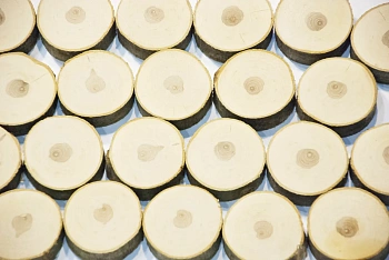 Спилы поквадратно рябина шлифовка С корой, (Ø 2-15см, h 1,5-2см), м.кв.