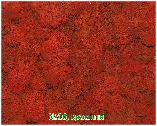 Мох стабилизированный №16 красный, 30*40 см, пак