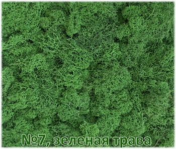 Мох стабилизированный №7 зеленая трава, 30*40 см, пак