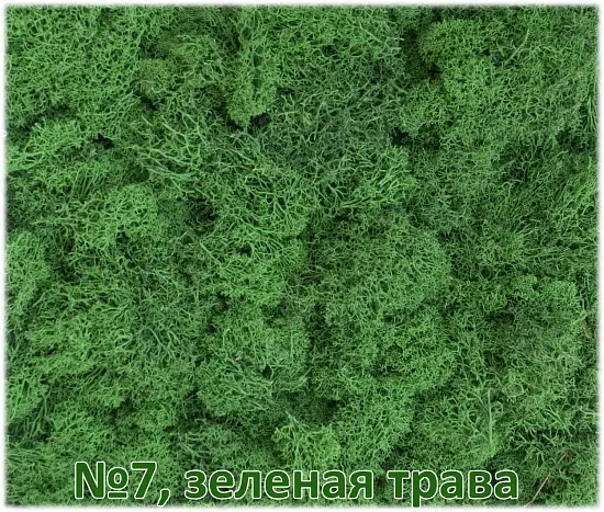 Мох стабилизированный №7 зеленая трава, 30*40 см, пак