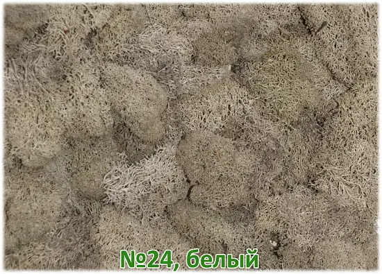 Мох стабилизированный №24 белый, 30*40 см, пак