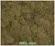 Мох стабилизированный №31 охра, 30*40 см, пак