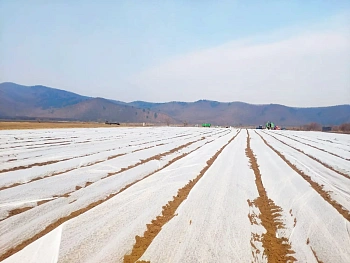 Агротекс Белый 30, 3,2*10 м, уп