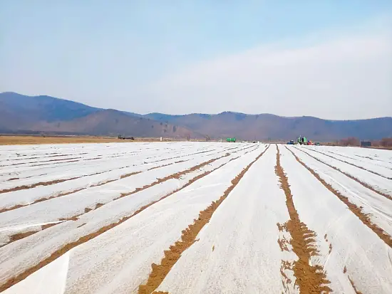 Агротекс Белый 30, 3,2*10 м, уп