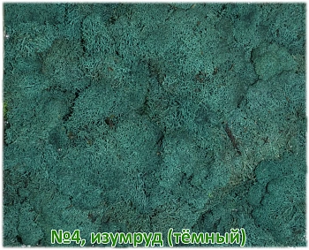 Мох стабилизированный №4 темный изумруд, 30*40 см, пак