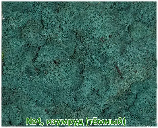 Мох стабилизированный №4 темный изумруд, 30*40 см, пак