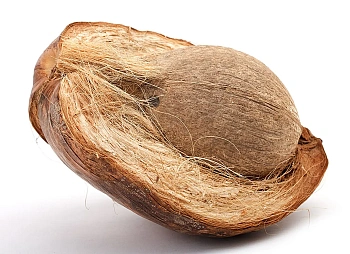 Cocoland Горшочек из кокосового волокна, Ø 12 см, шт 