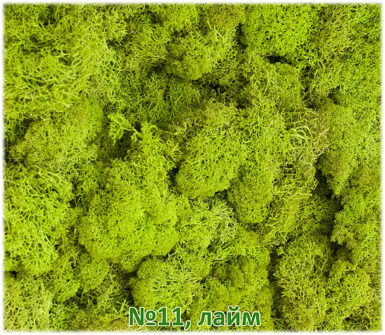 Мох стабилизированный №11 лайм, 30*40 см, пак