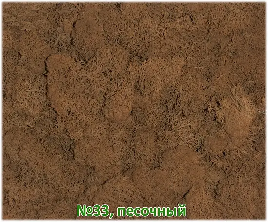 Мох стабилизированный №33 песочный, 30*40 см, пак