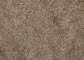 Сидерат Клевер гибридный, 0,5 кг