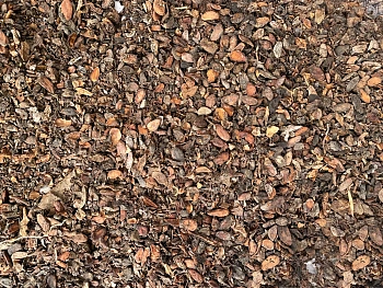 Скорлупа какао бобов(какао-велла), ~10 кг