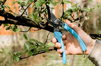 Plantic Секатор плоскостной L61 light, арт 25261-01, шт